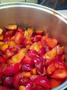 Plums Again!?