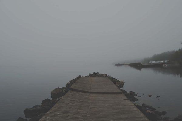 Resized Image